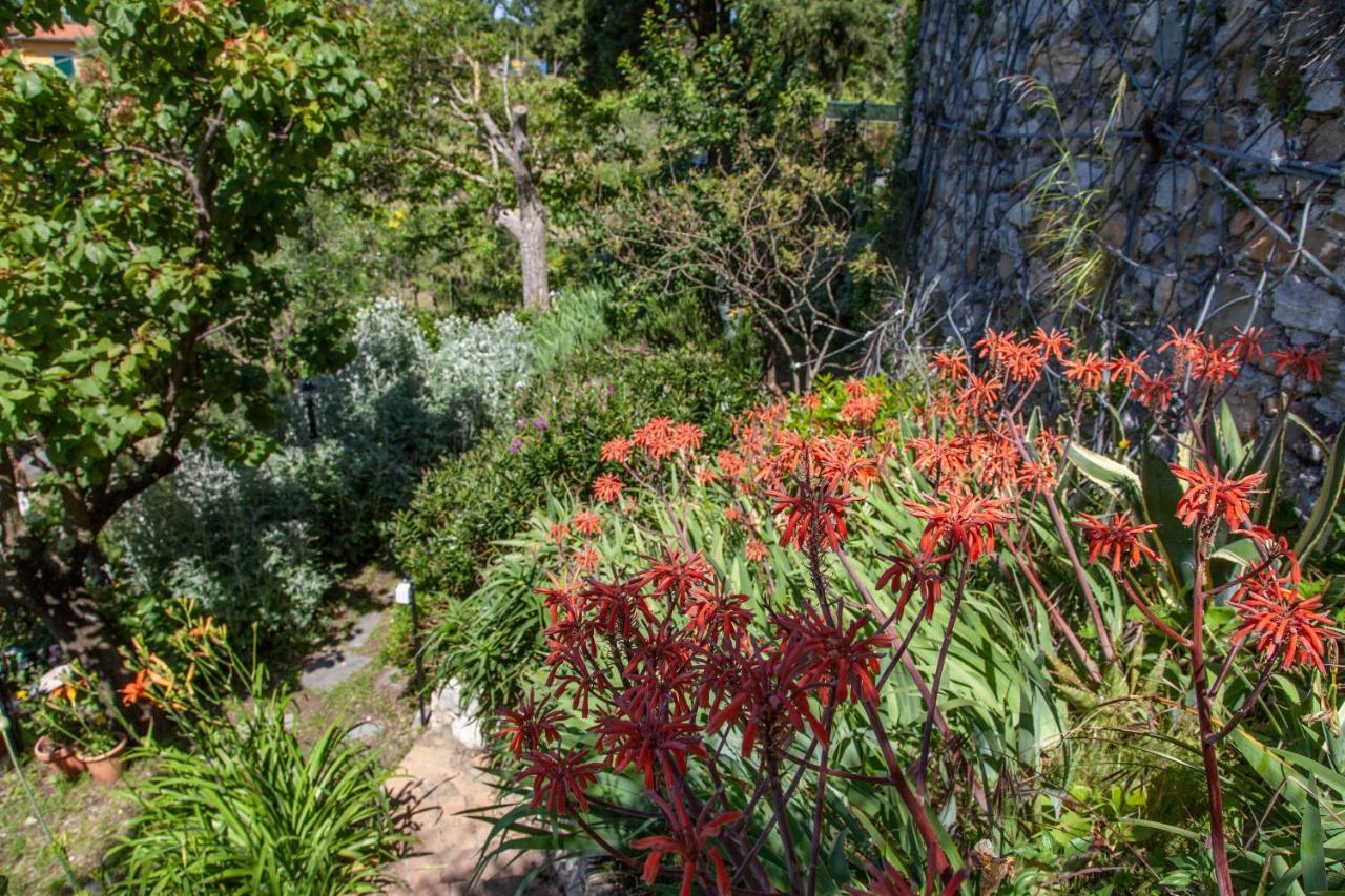 Pietrantica - Affittacamere Con Giardino Nuova Apertura A Trebiano -Citr Exteriör bild